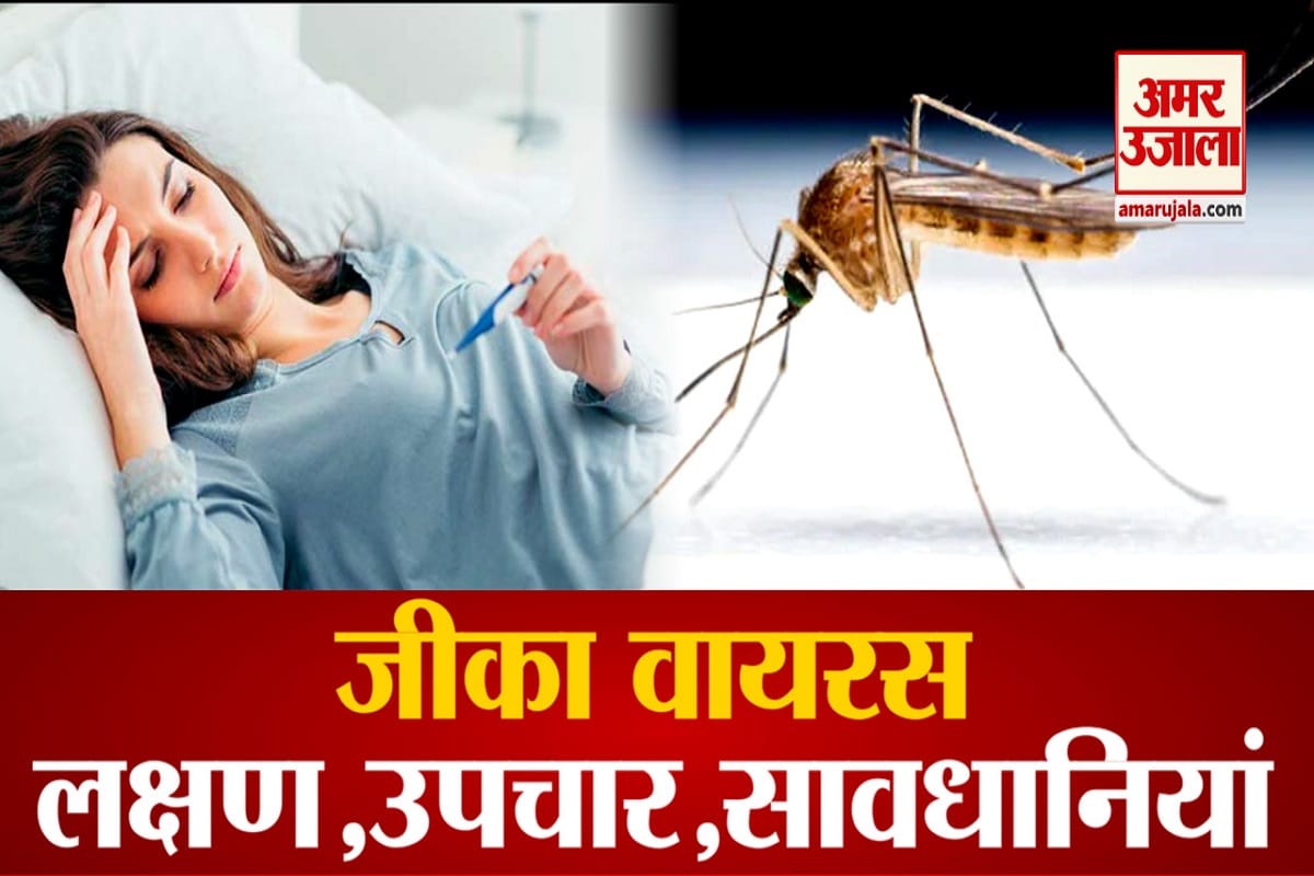 Zika Virus Patient in Mumbai, know symptoms and prevention of zika fever