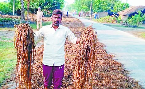 The pockets of sugarcane farmers are empty... how will you celebrate Diwali?