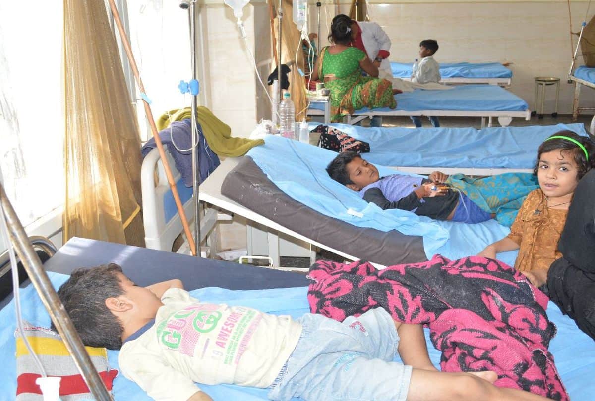 ICMR Prepared Cross Breeding Mosquitoes Who Produce Virus Free Larvae To Curb Dengue Chikungunya