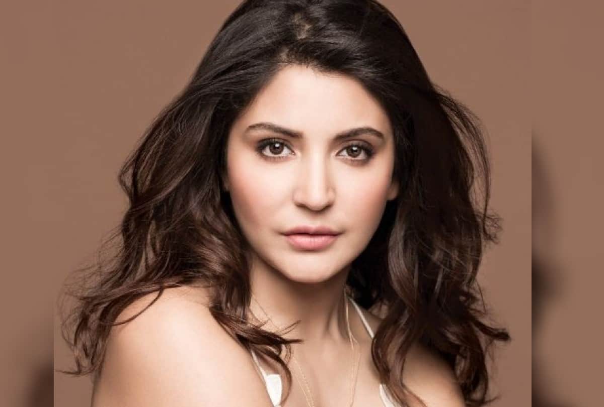 Anushka Sharma proved her love for animals Shares video man who taking care of injured stray dog