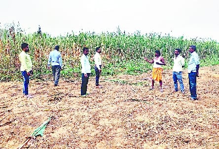 Paddy procurement picks up, but delay in payment may delay Diwali