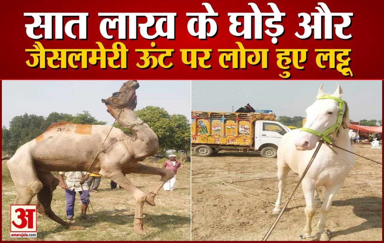 बटेश्वर पशु मेला