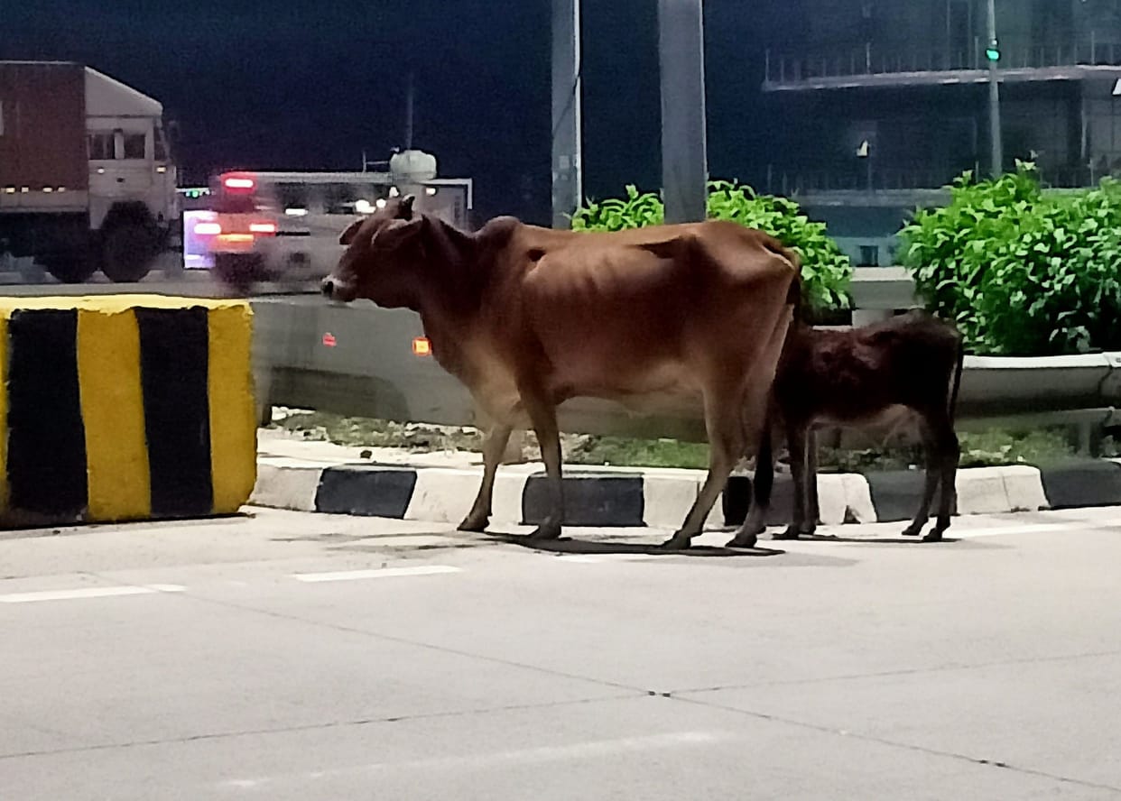 It is not safe for drivers to travel on KGP Expressway