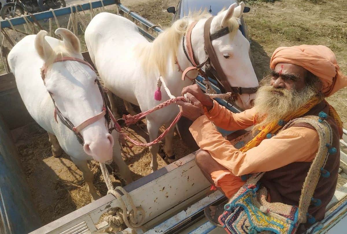 bateshwar pashu mela starts in agra