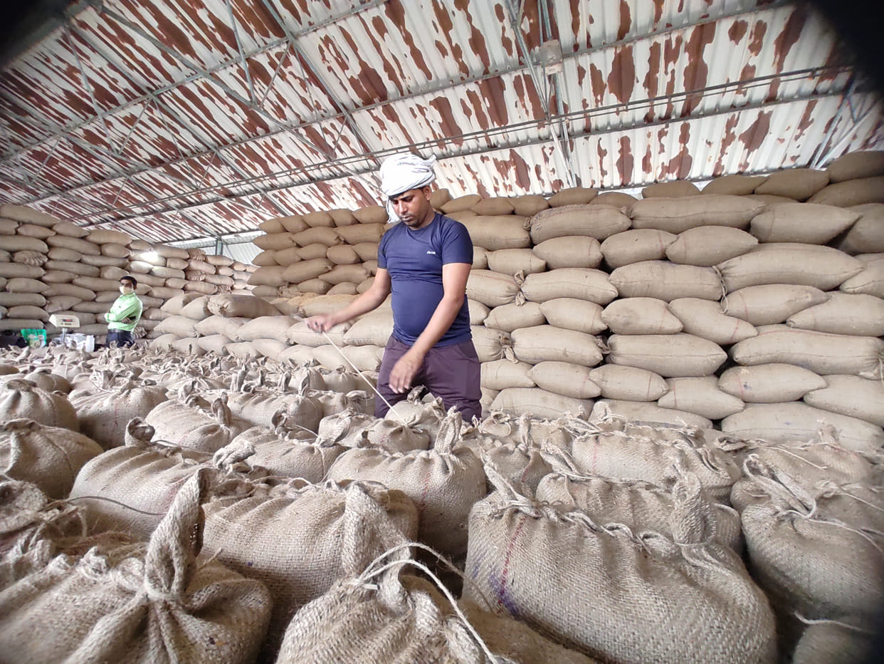 Paddy has been procured from 258 farmers in the district so far