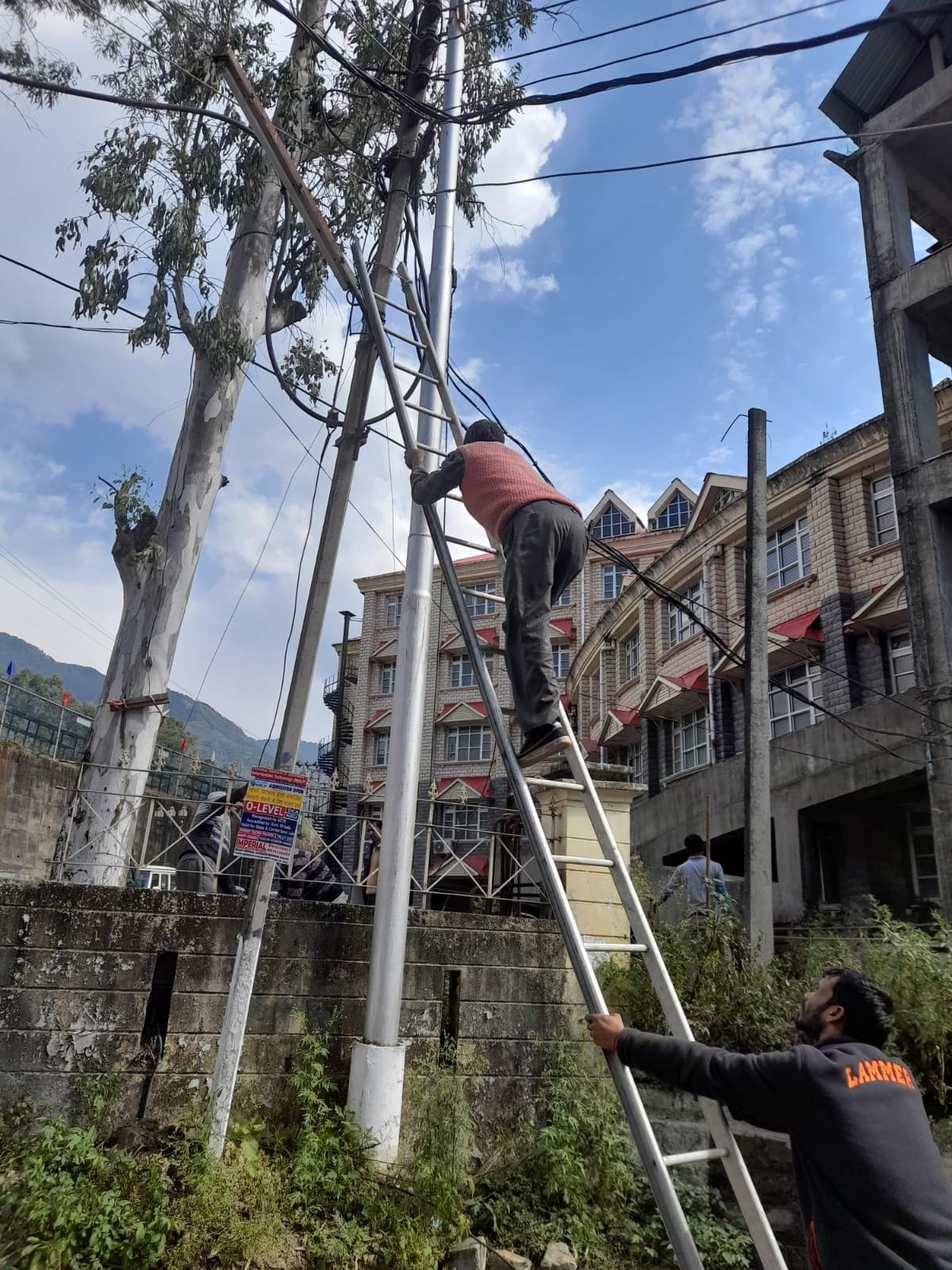 Trees fell on the road due to the storm in Jogindernagar, the light was on for 15 hours