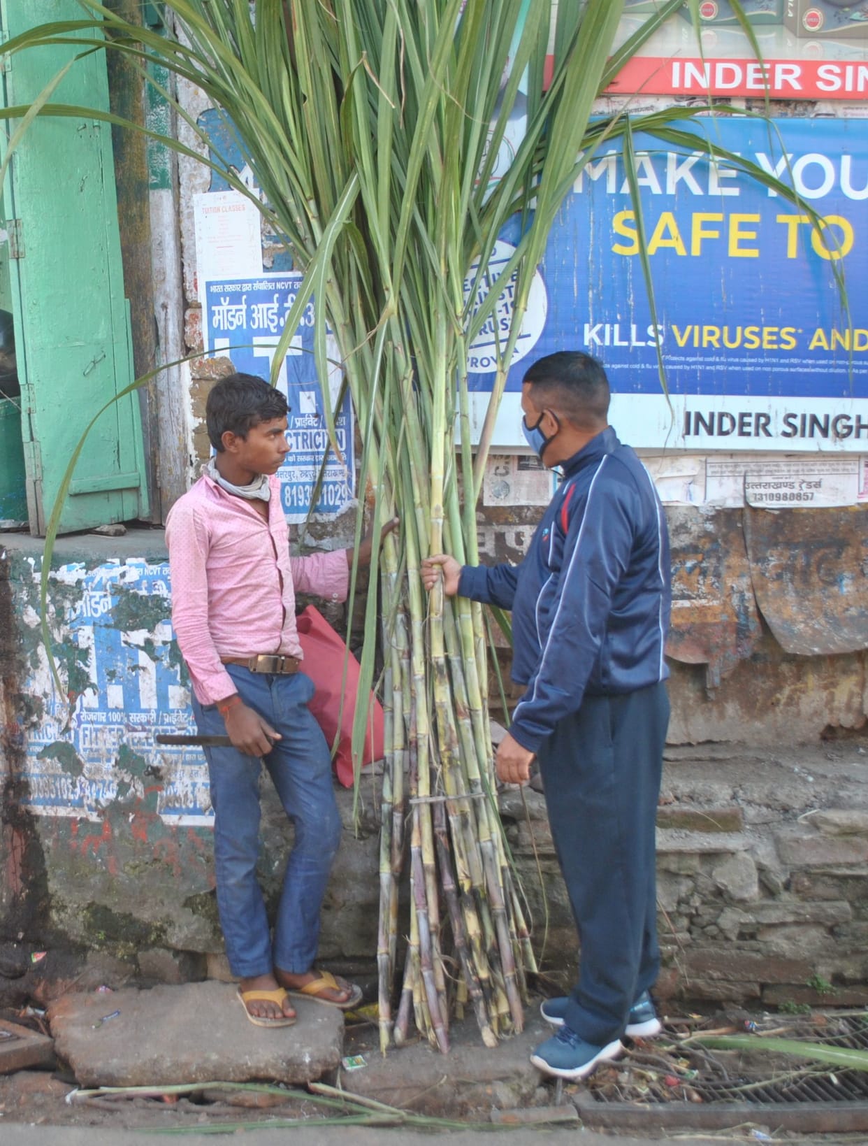 Sugarcane For Mahalakshmi