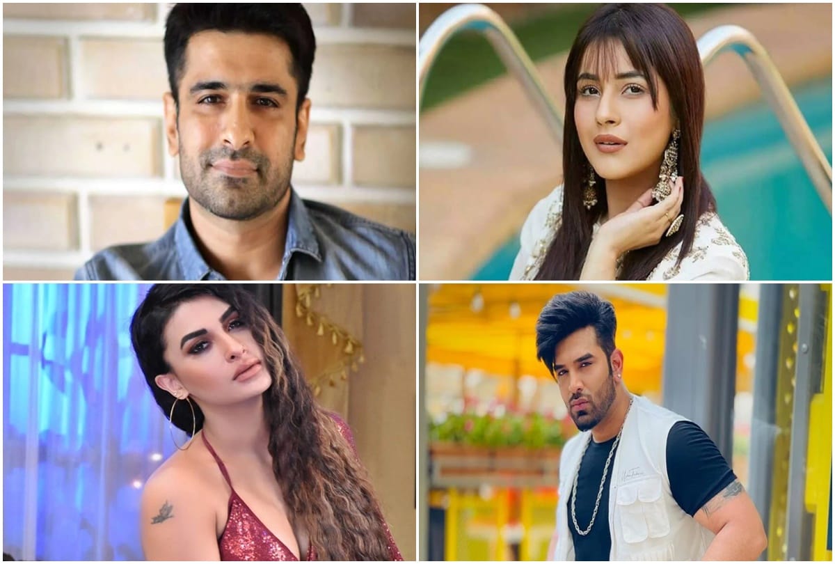 Bigg Boss: These contestants have shared the story of their breakup with the audience one of them broke up a month before marriage