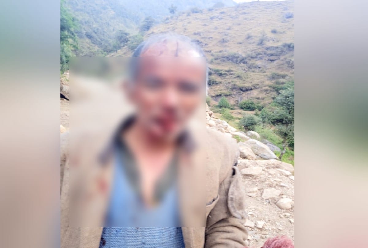 The bear attacked the elderly in kangra himachal, people in panic