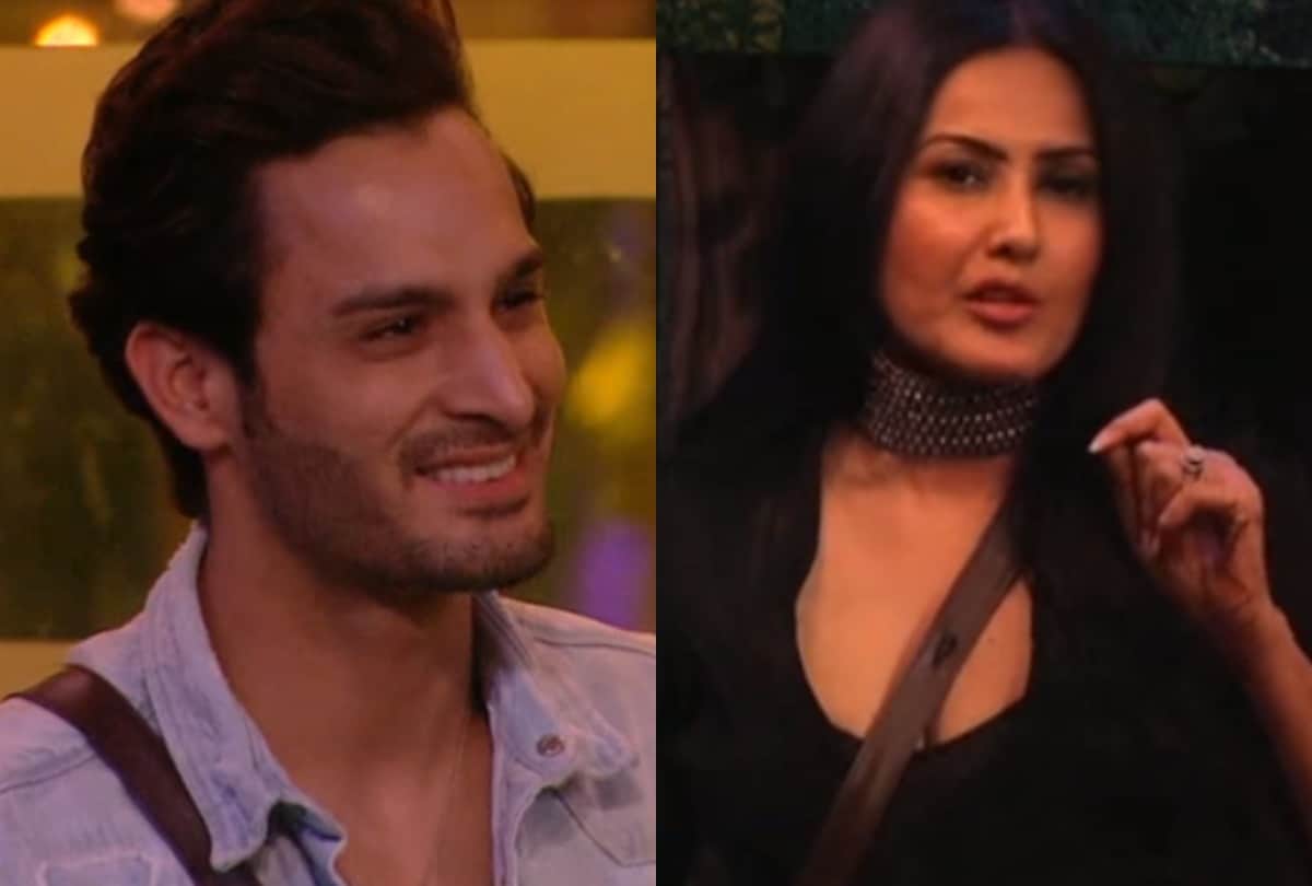 bigg boss 15 kamya panjabi support umar riaz says you and asim is totally different
