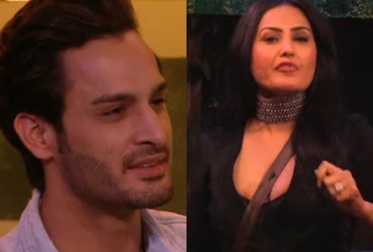 bigg boss 15 kamya panjabi support umar riaz says you and asim is totally different