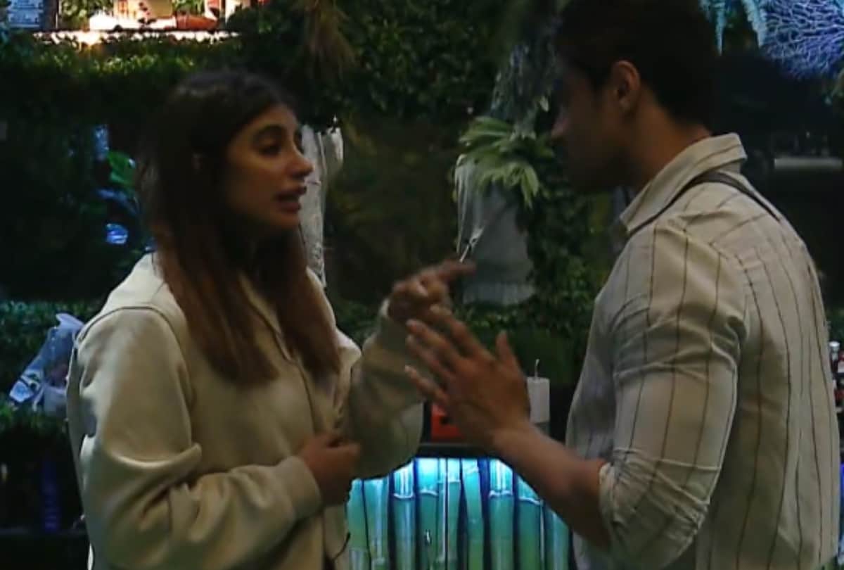 Bigg Boss 15 ishan sehgal said for miesha iyer she Can do anything in the game fight between them
