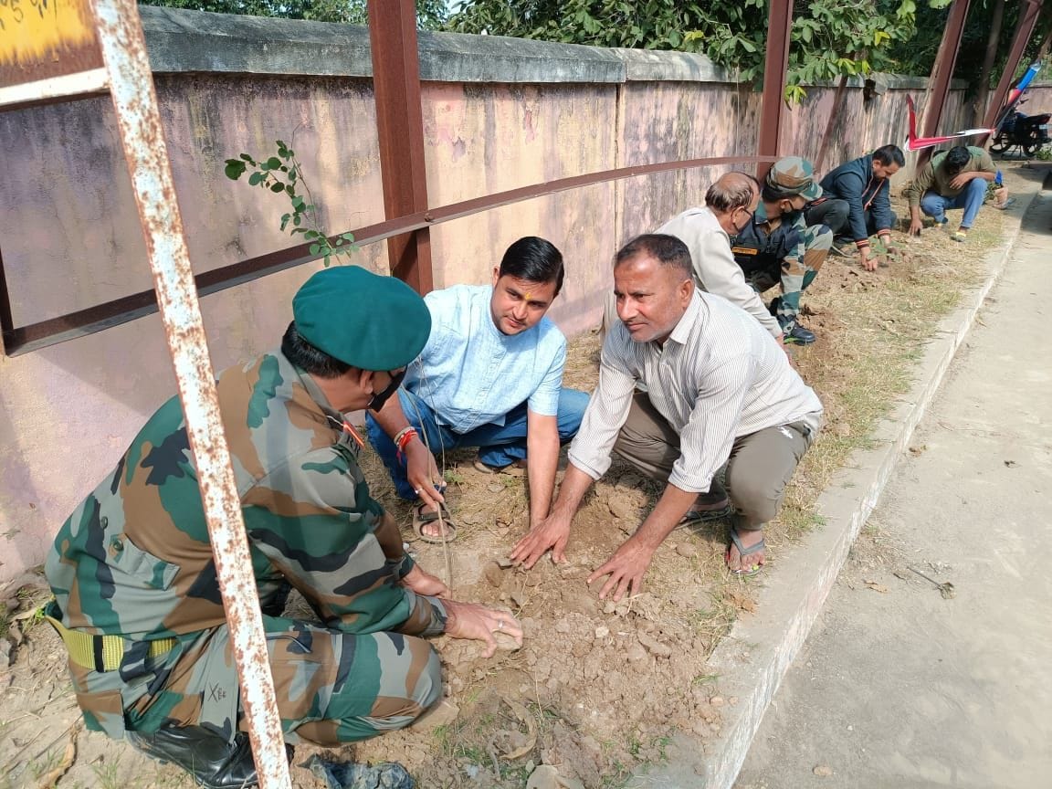 tree plantation
