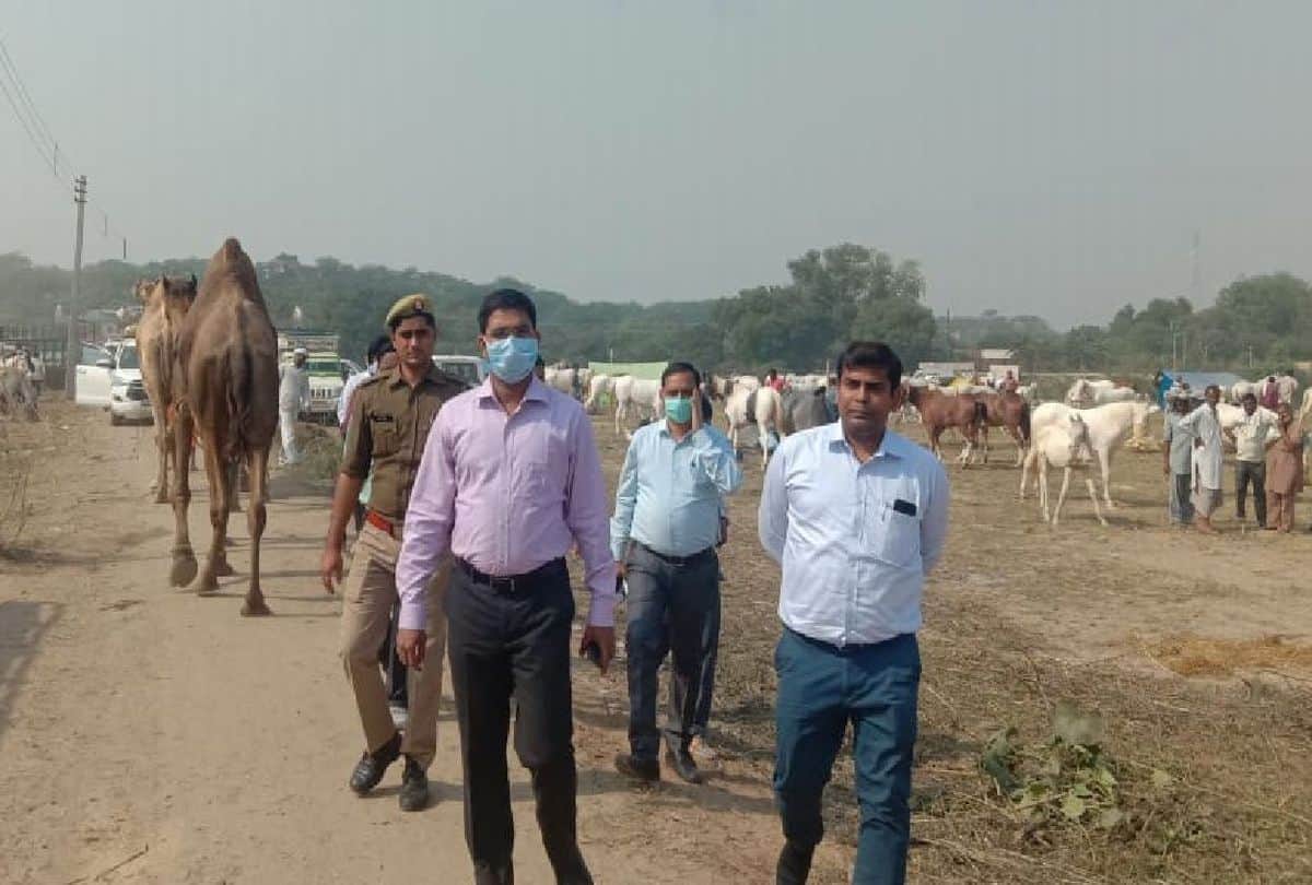 Bateshwar Pashu Mela Starts Attraction Horse And Camels Dance