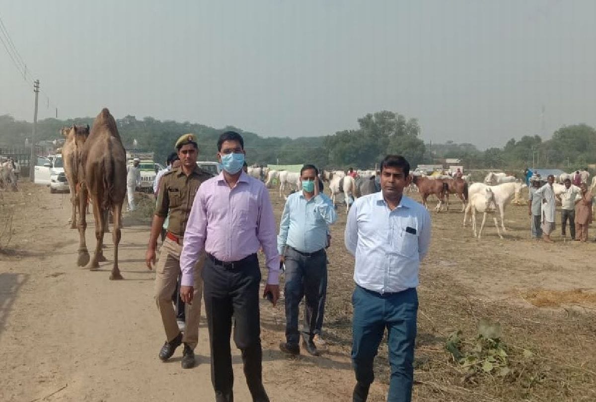 Bateshwar Pashu Mela Starts Attraction Horse And Camels Dance
