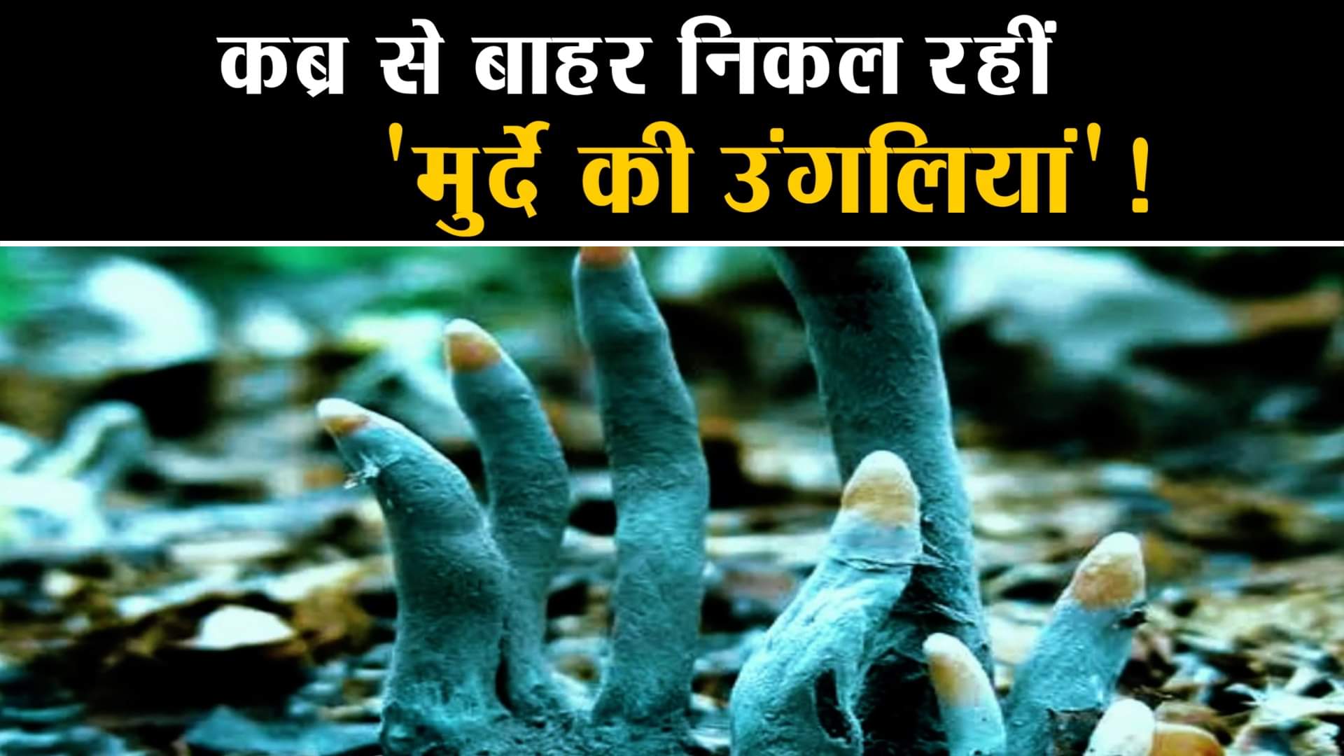 डेडमैन्स फिंगर्स