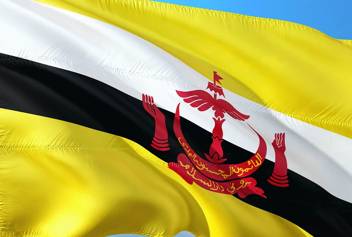 interesting facts of muslim country brunei where people put the wife photo on house walls Know about surprising things about this place