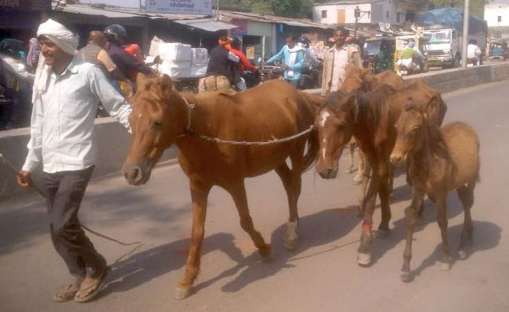 Wonders to be seen in Chitrakoot Fair