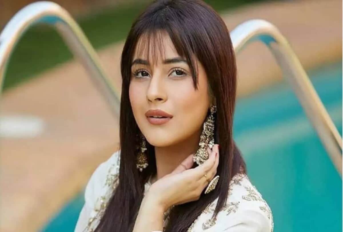 Shehnaaz Gill posts a new video after Tu Yaheen Hai song fan says ‘stay strong'