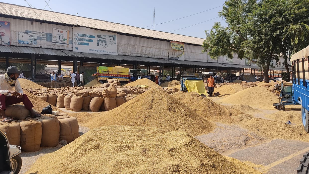 Haryana Warehouse has so far bought maximum paddy