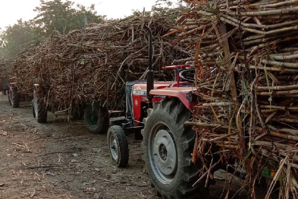 This time, if the manifesto is not filled, the bet will be locked: Cane Commissioner appeals, farmers should fill it in time