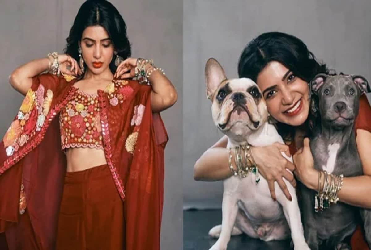 Samantha celebrates her first Diwali since Chaitanya split, poses with her dogs