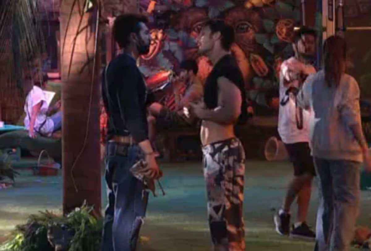 Bigg Boss 15 umar riaz called simba nagpal daily soap actor jay bhanushali didn't like the statement