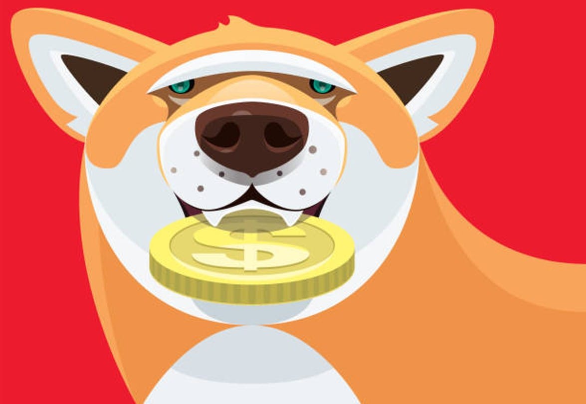 shiba inu price today 29 november in inr cryptocurrency india rate prediction