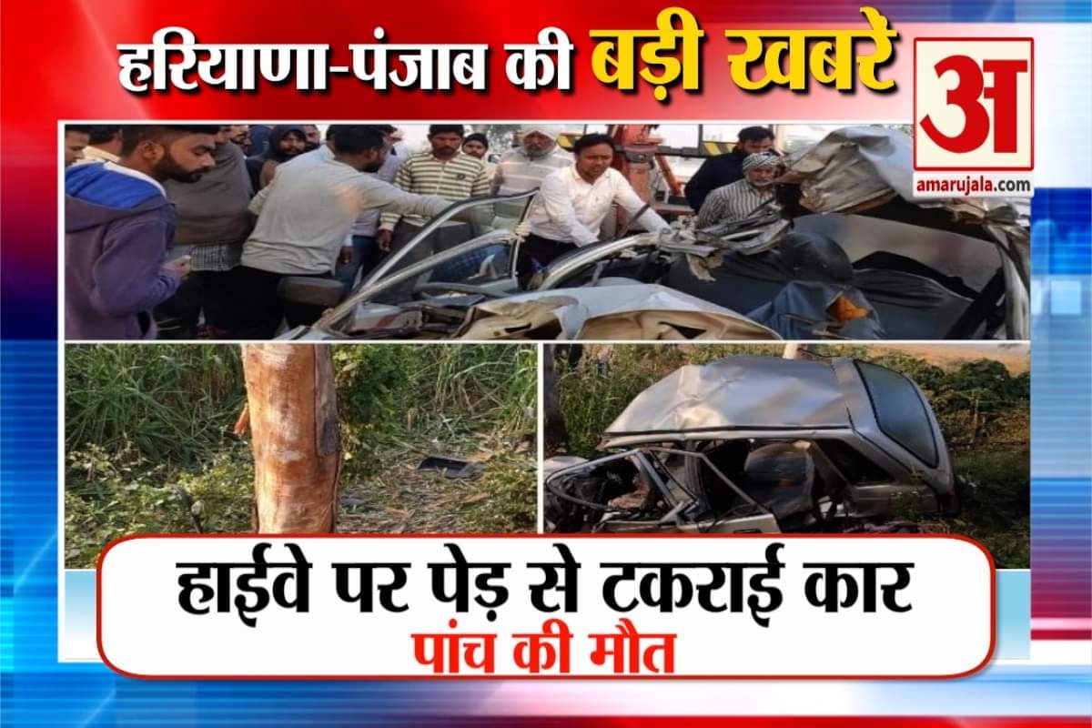 हरियाणा न्यूज