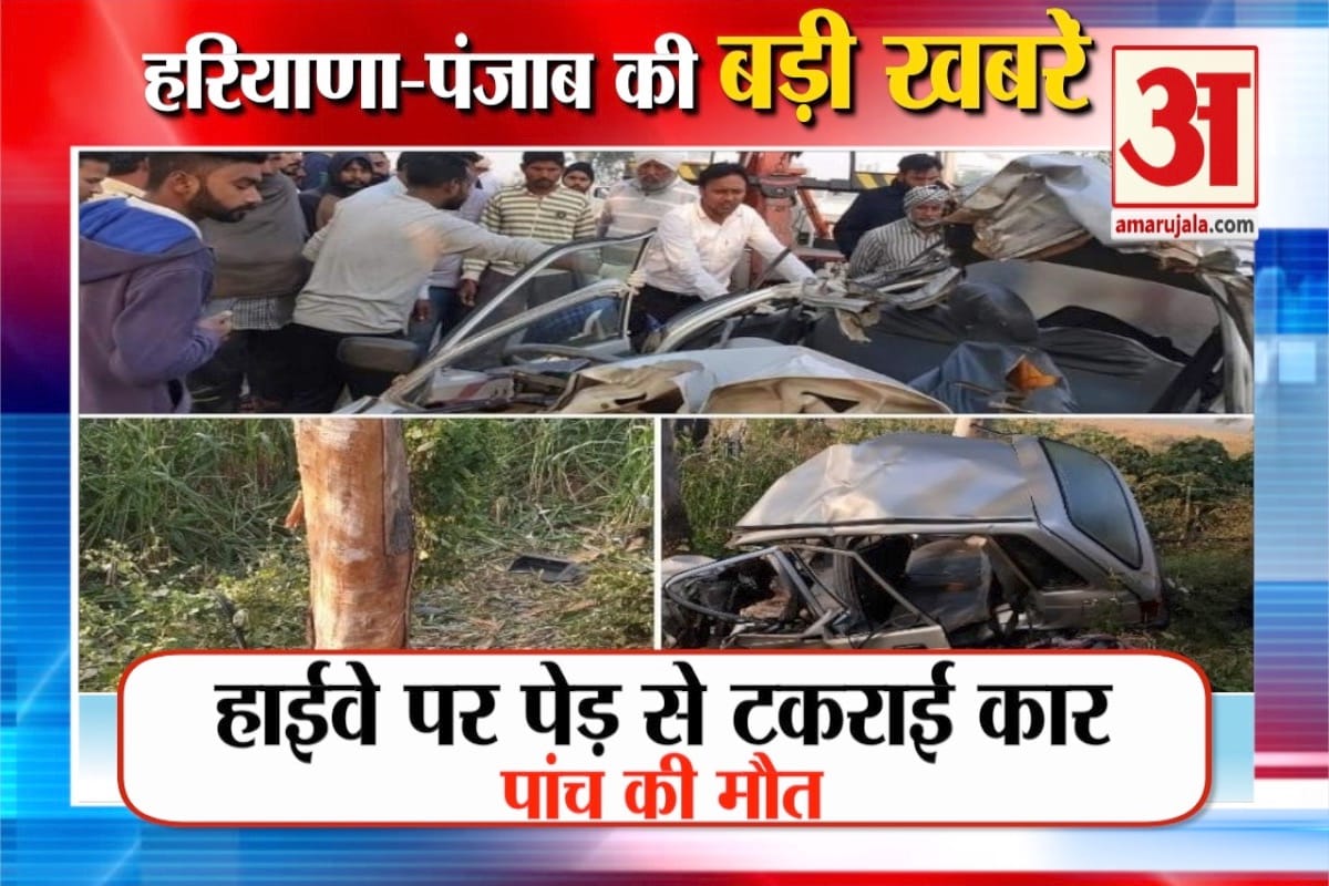 हरियाणा न्यूज