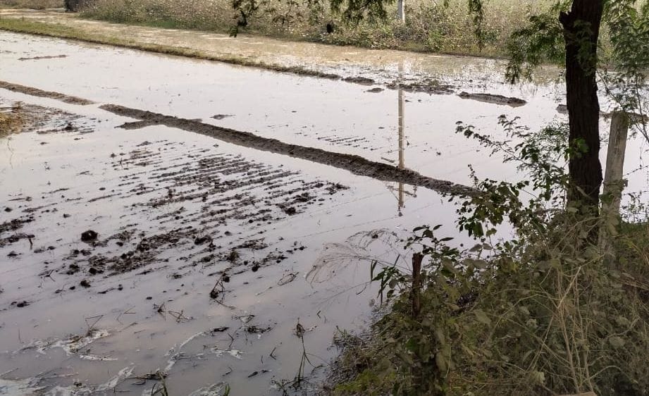 10 acres of soft crop submerged due to the collapse of Kaluana Minor