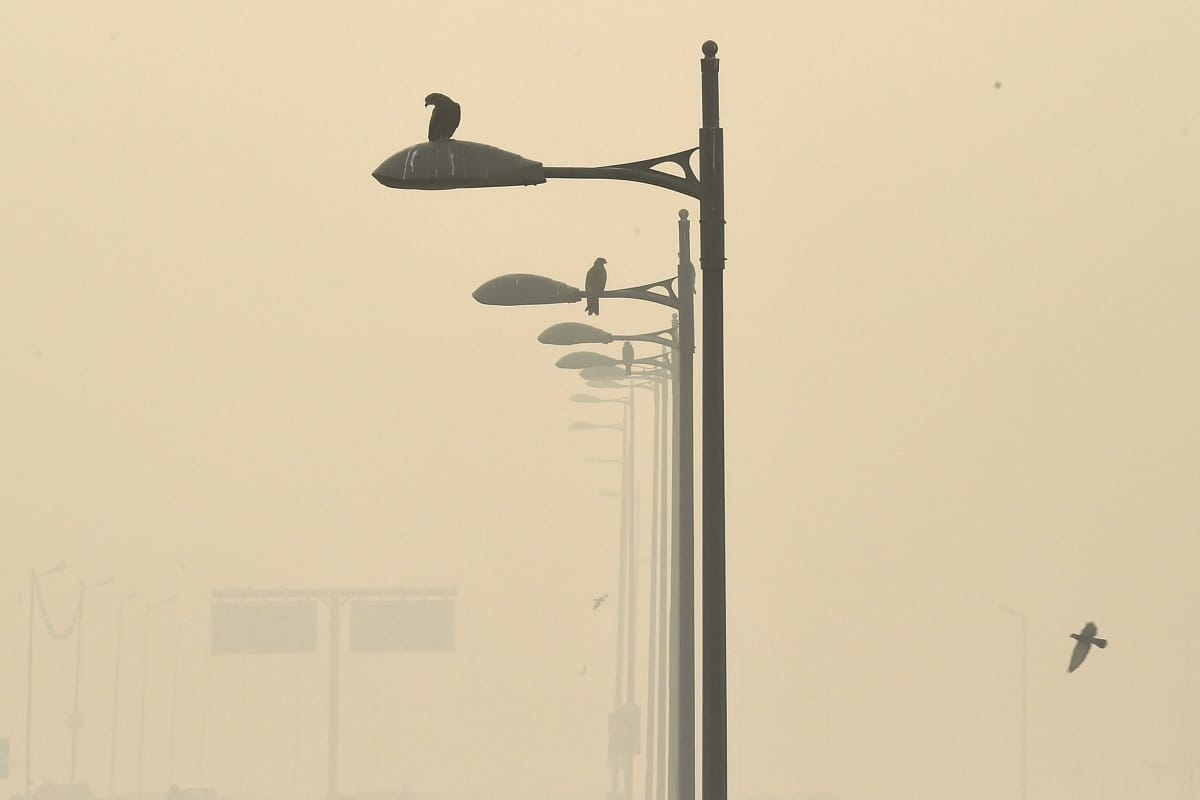 Better climate: The waste of firecrackers is no less dangerous