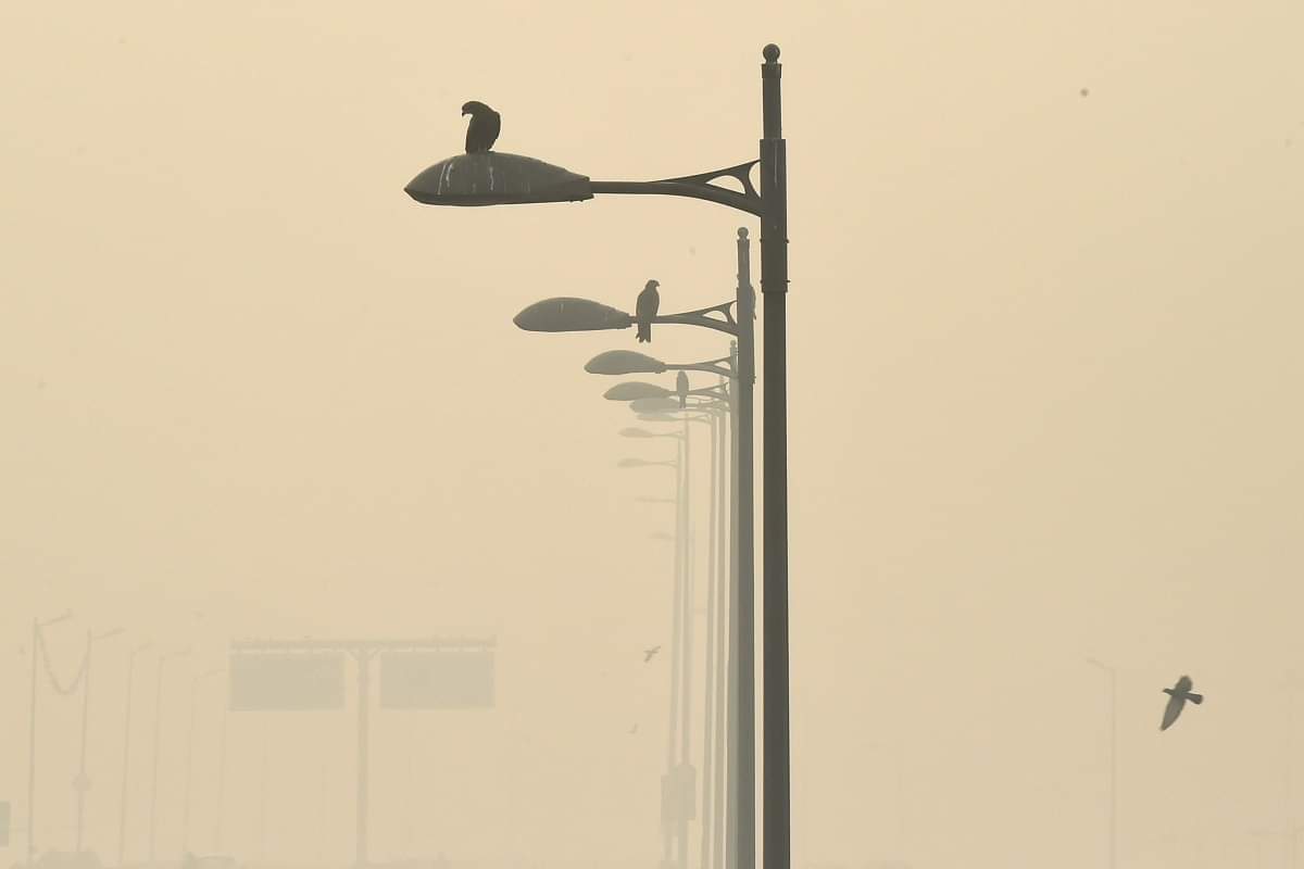 Delhi Traffic Police issues 700 challans on Diwali to vehicle owners for plying without PUC certificate