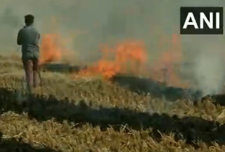 Stubble burning continues in Punjab