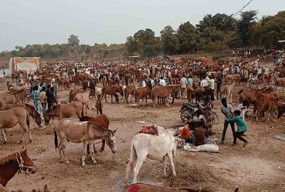 donkey fair in chitrakoot district up