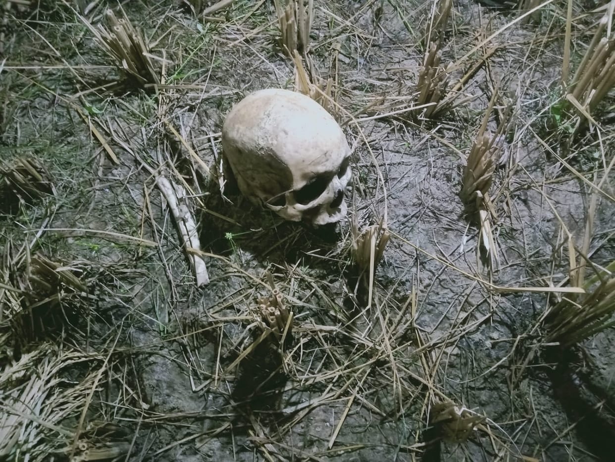 Human skeleton found in paddy field in Sonbhadra