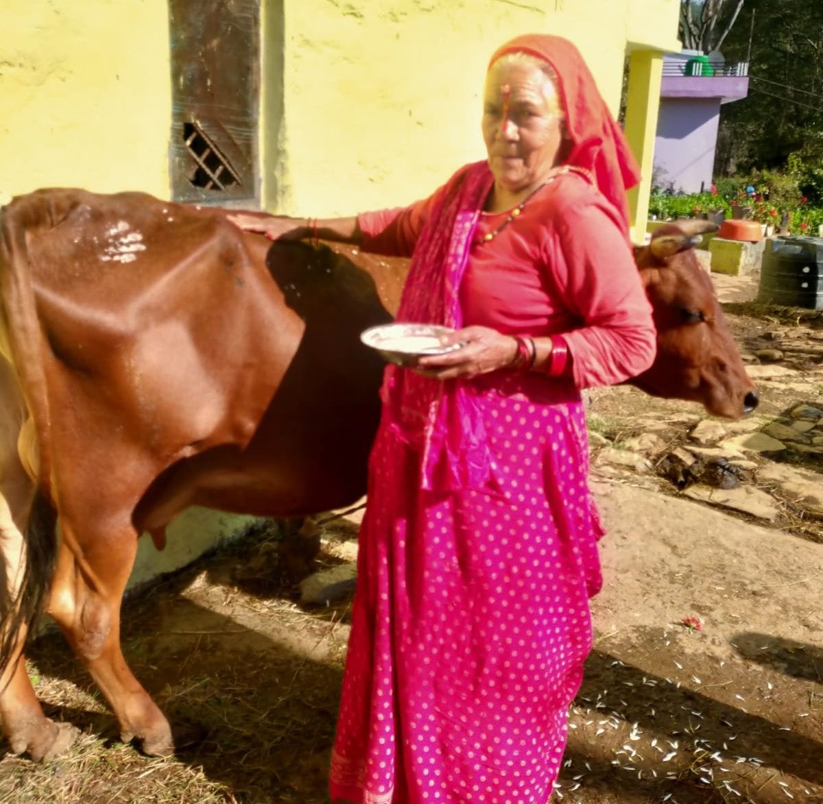 Govansh Worshipped