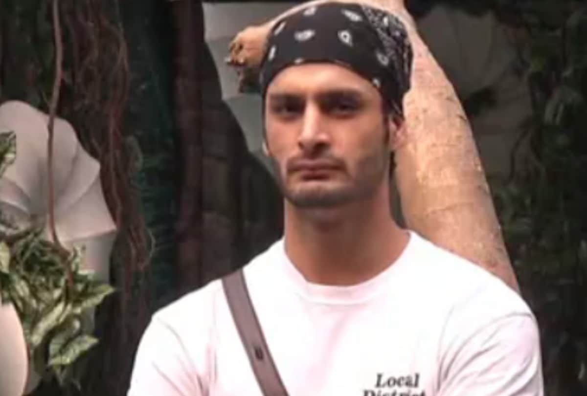 bigg boss 15 umar riaz becomes a new captain in the bb house miesha iyer lost the task