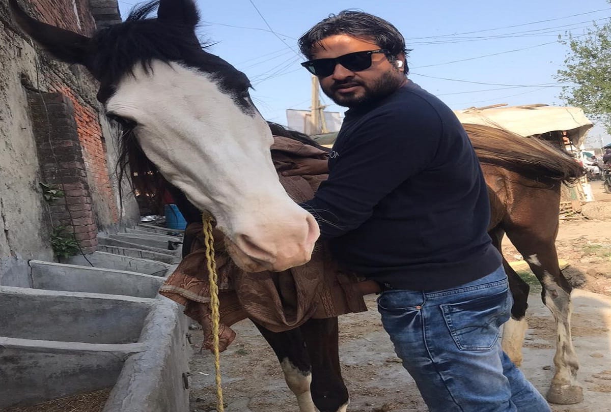 Police will search congress leader horse after searching Azam Khan buffalo was stolen from artillery gate