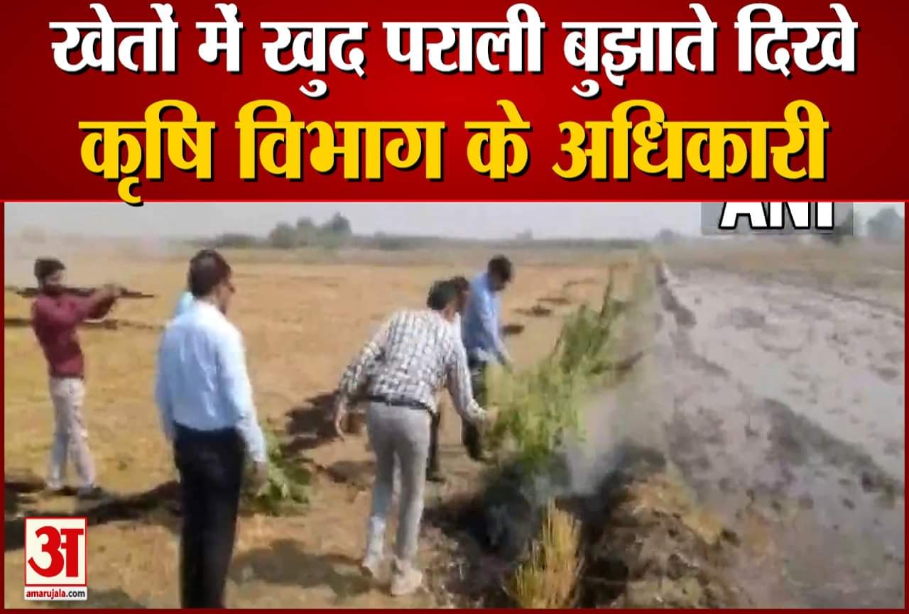 कैथल पराली