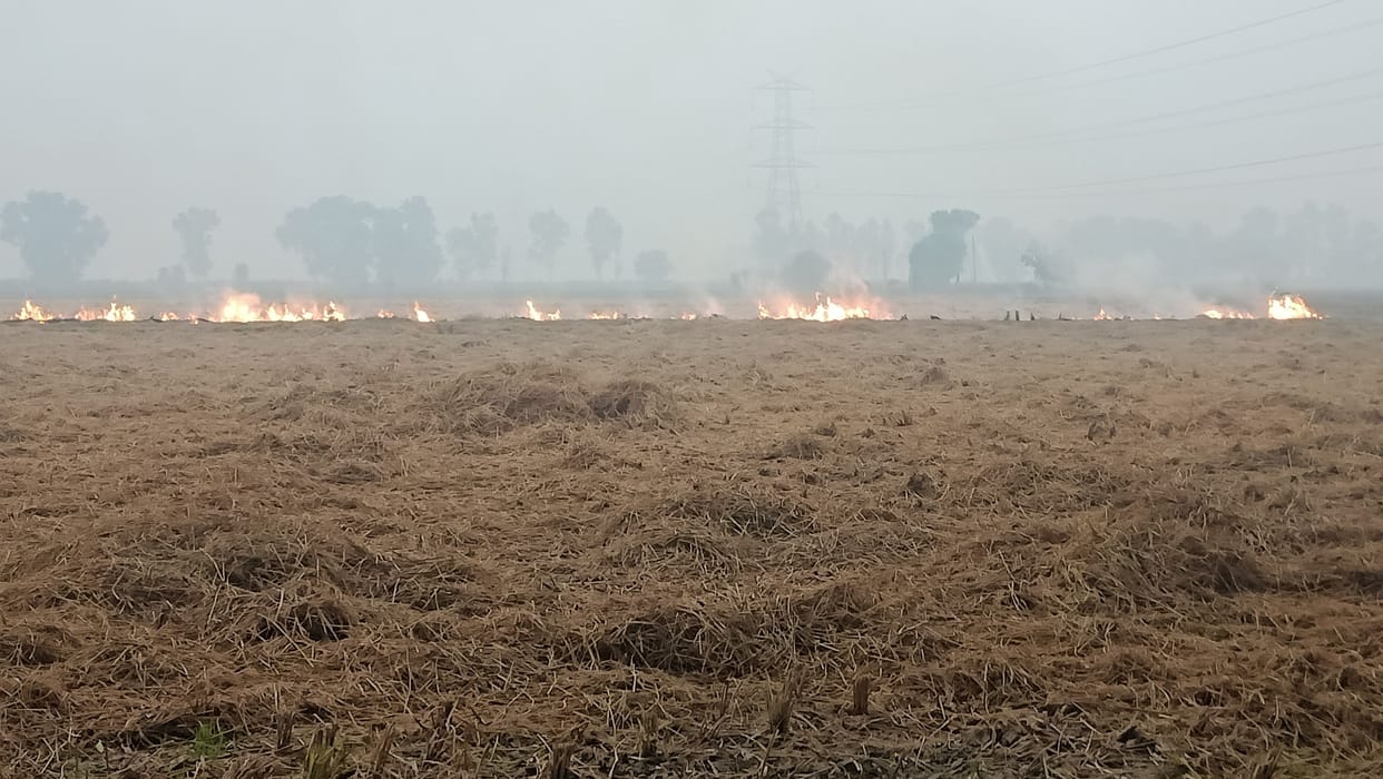 Not only this, the air got spoiled, the whole system is responsible