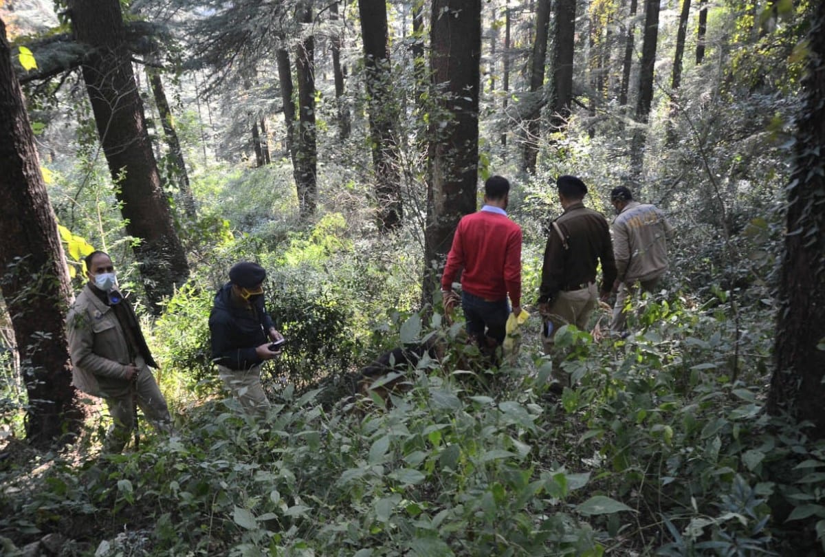 leopard attack shimla: The dead body of a five year-old innocent found in the forest