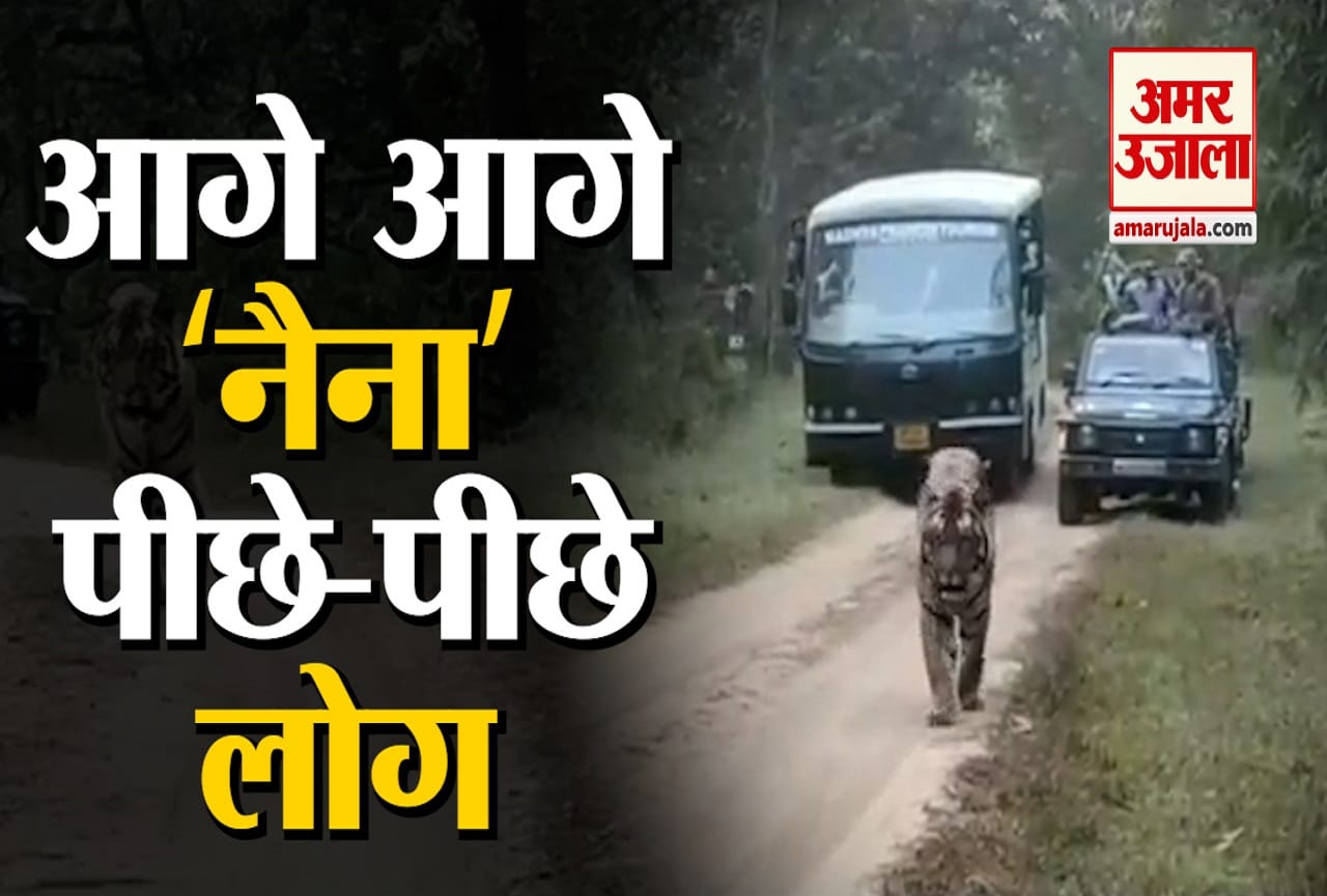 नैना