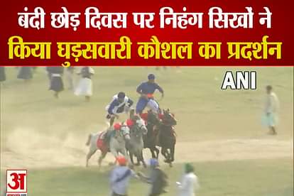 nihang sikhs showed extraordinary horse riding skills on bandi chor diwas at amritsar