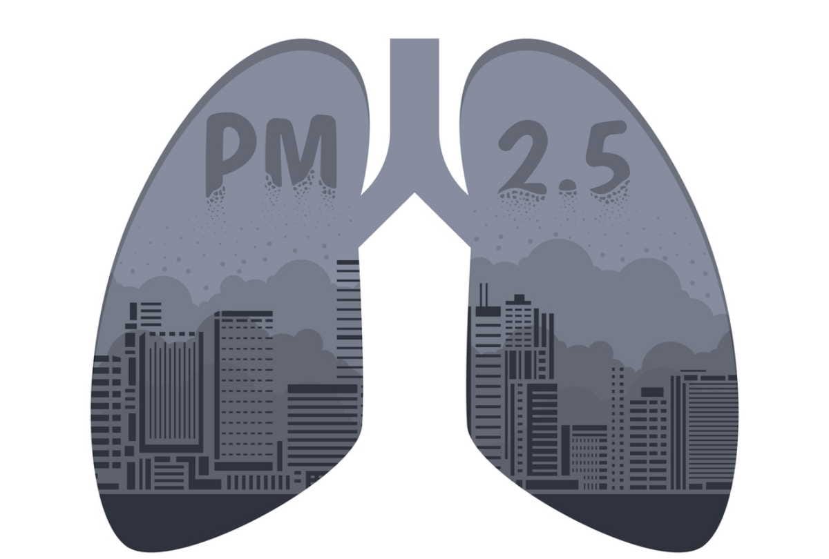 pollution level in delhi, know about pm 2.5 and its effect on health
