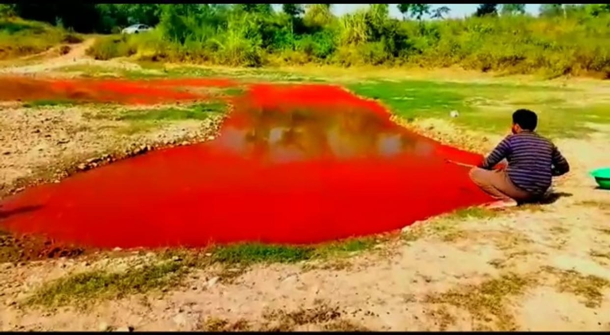 Euglena stock found at the origin of river Sahansara