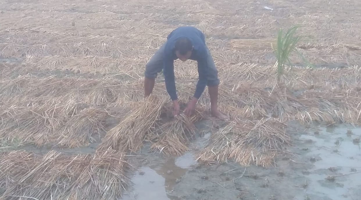 Farmers of 24 villages will get the benefit of crop compensation