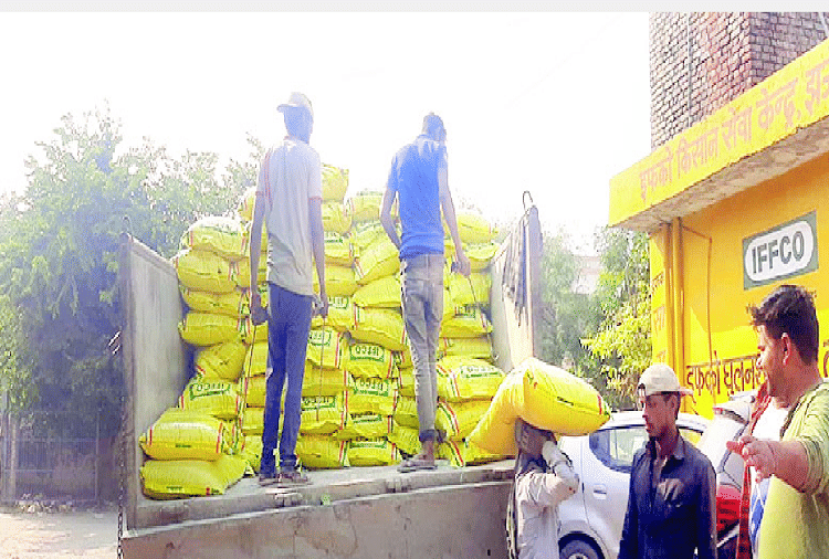 Rack will be set up in Jhajjar today to overcome the shortage of DAP Fertilizer