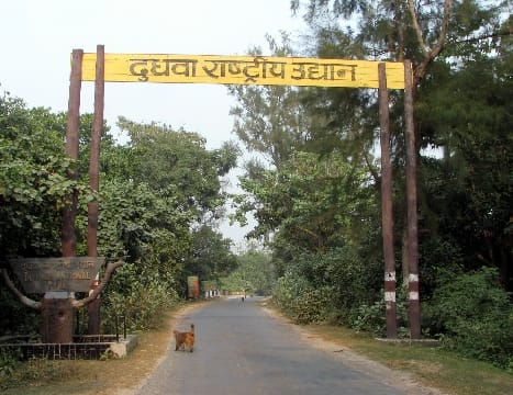 Due to the flood, now the new tourist season of Dudhwa from November 15