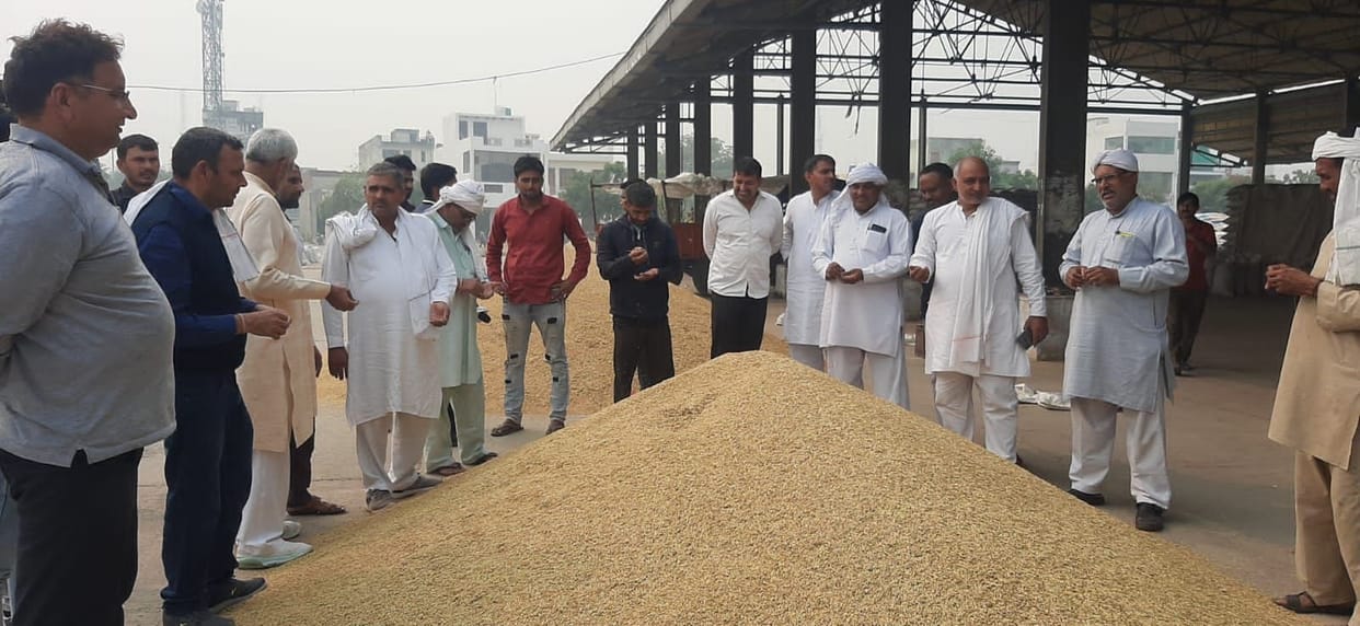 Paddy arrival in the grain market increased, millet also reached